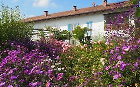 Casa Del Roseto